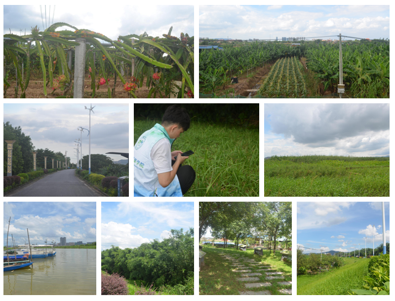 足球角球即时比分