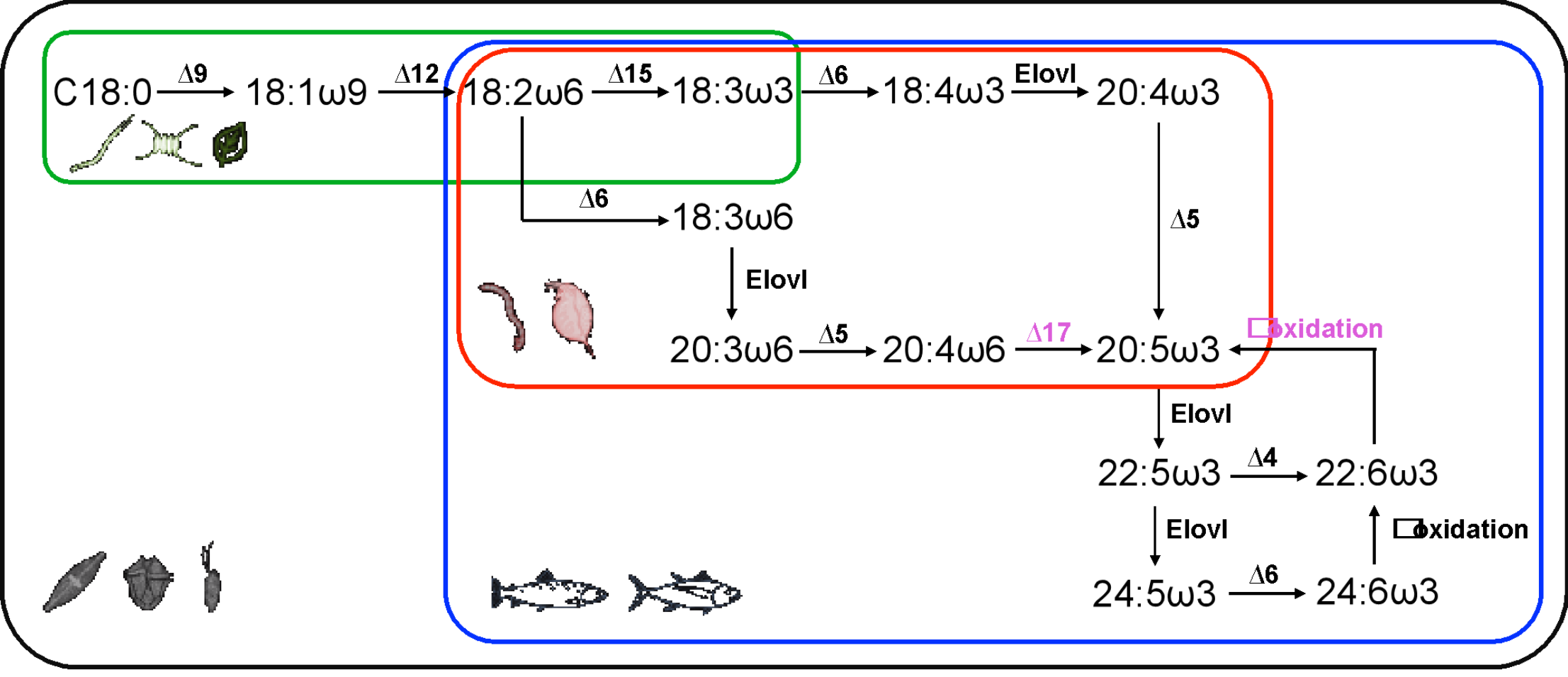 足球角球即时比分