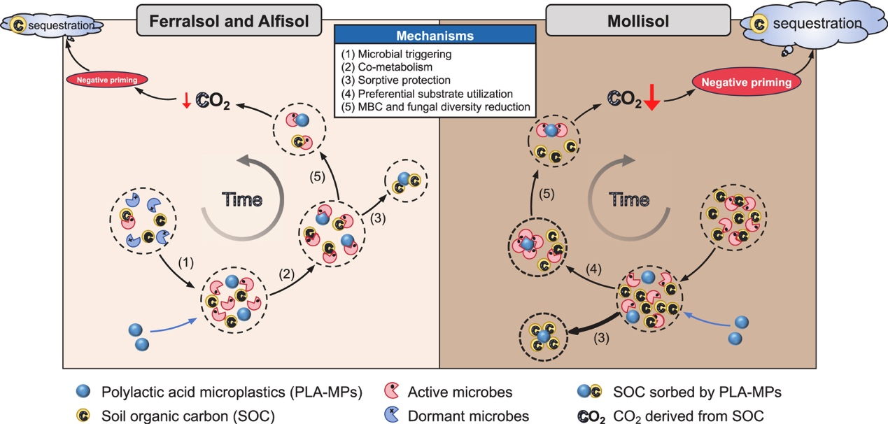 足球角球即时比分