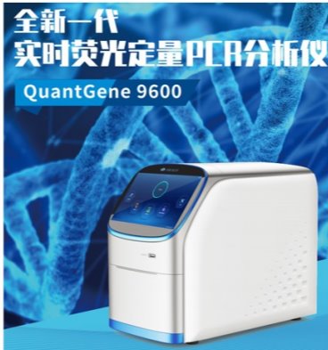 足球角球即时比分