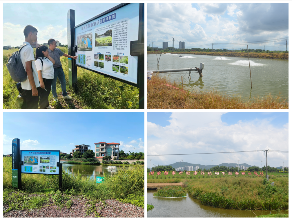 足球角球即时比分