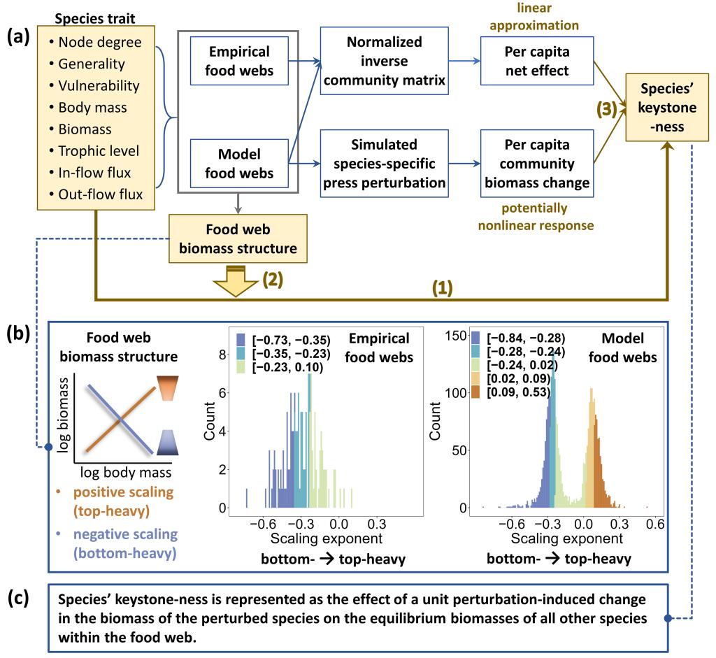 足球角球即时比分