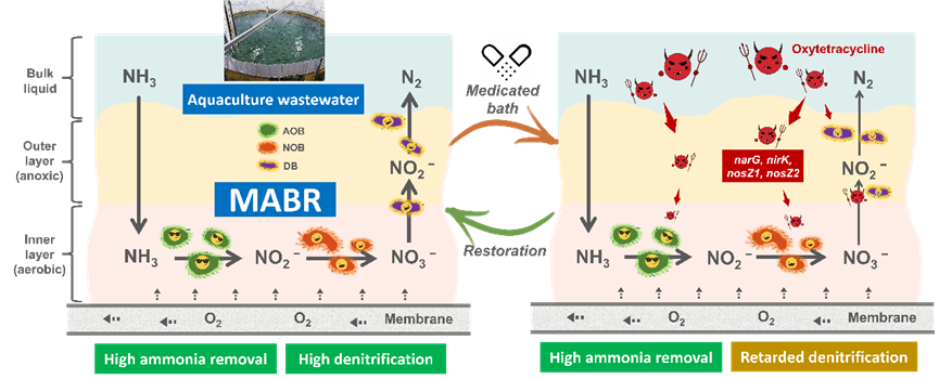 足球角球即时比分