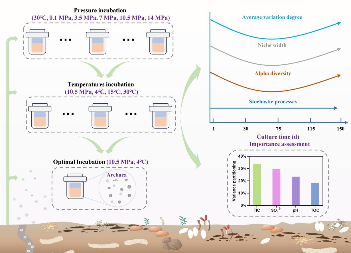 足球角球即时比分