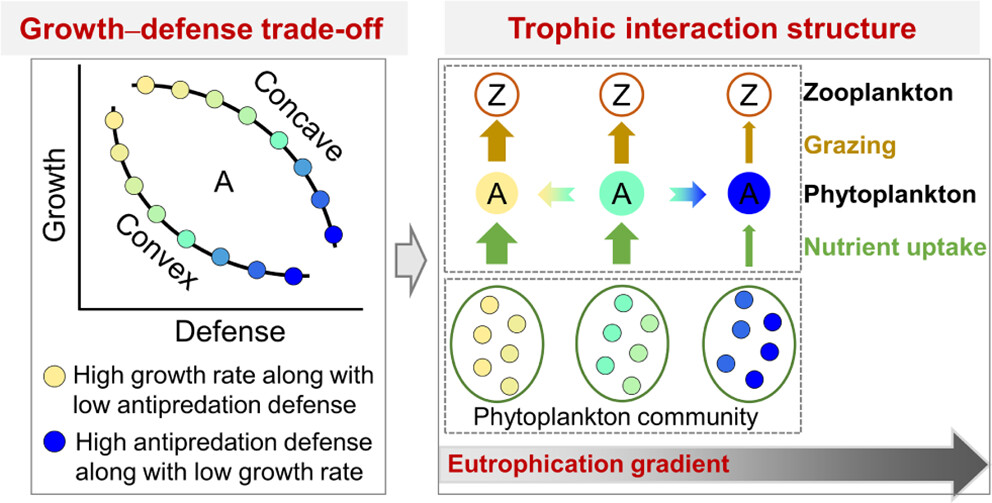 足球角球即时比分