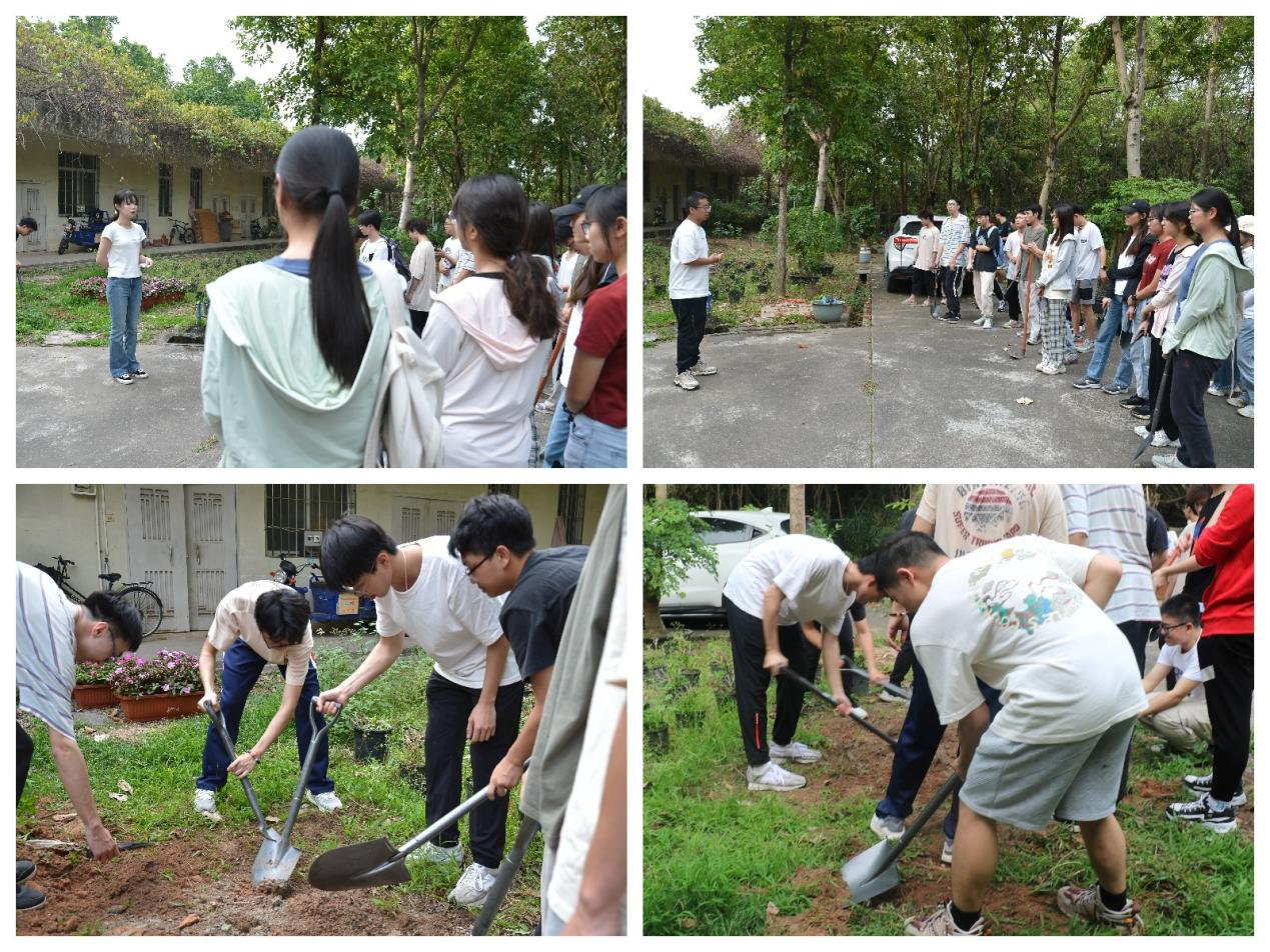 足球角球即时比分