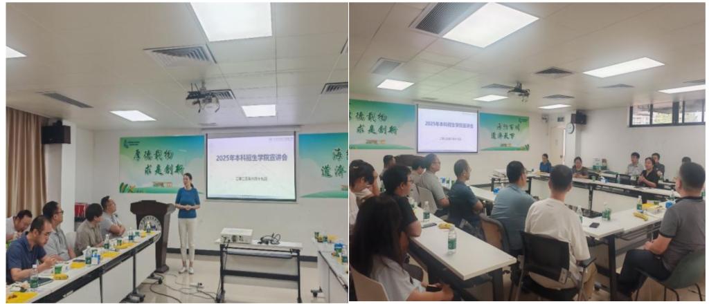 足球角球即时比分