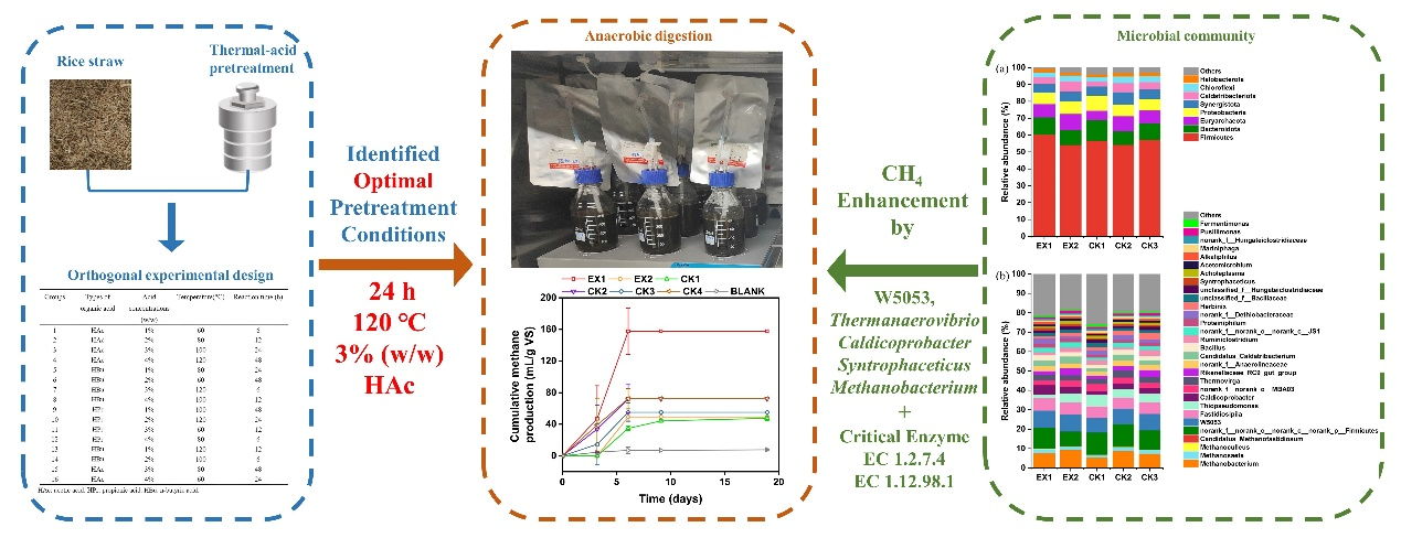 足球角球即时比分