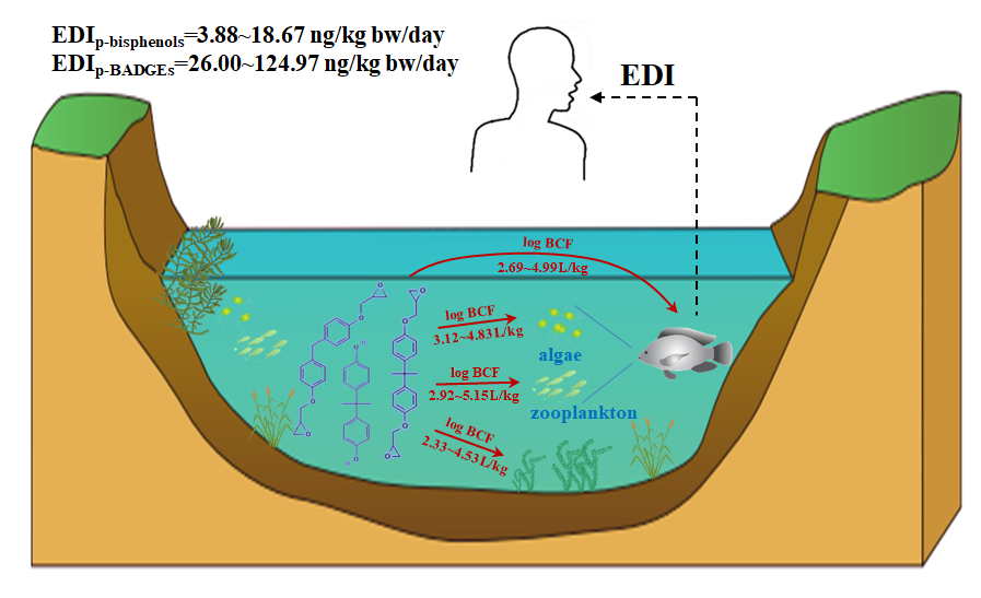 足球角球即时比分