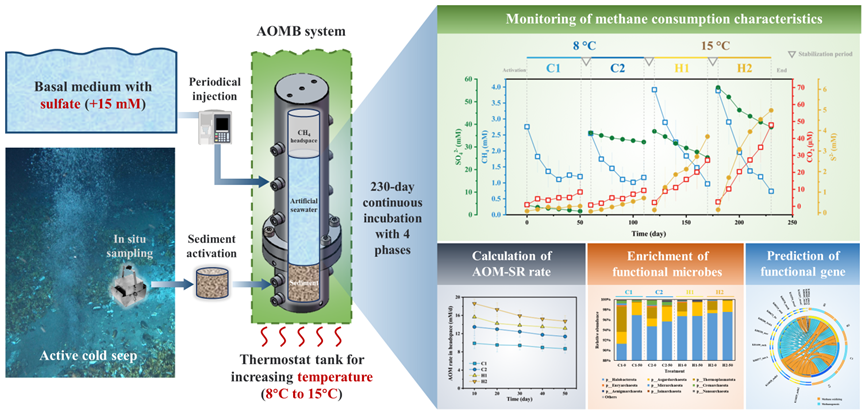 足球角球即时比分
