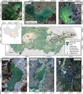 足球角球即时比分