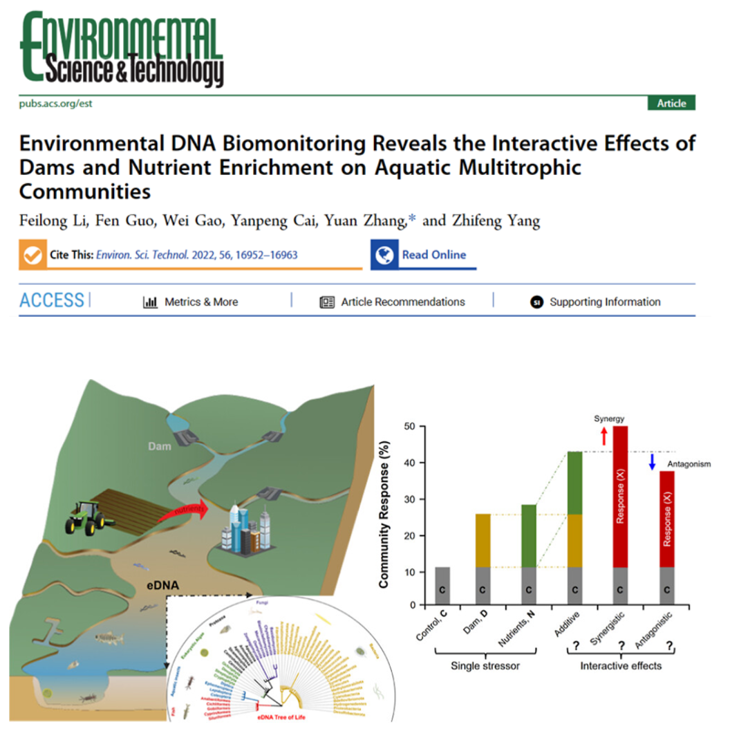 足球角球即时比分