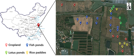 足球角球即时比分