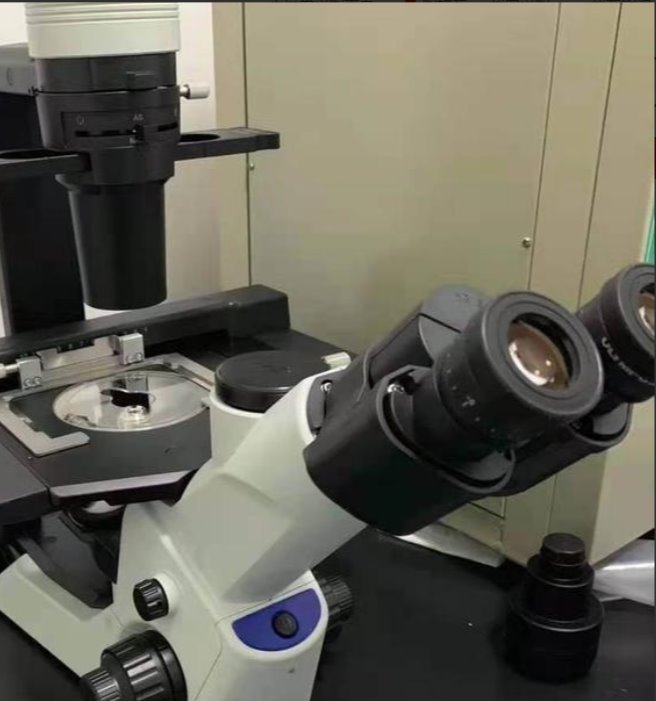 足球角球即时比分